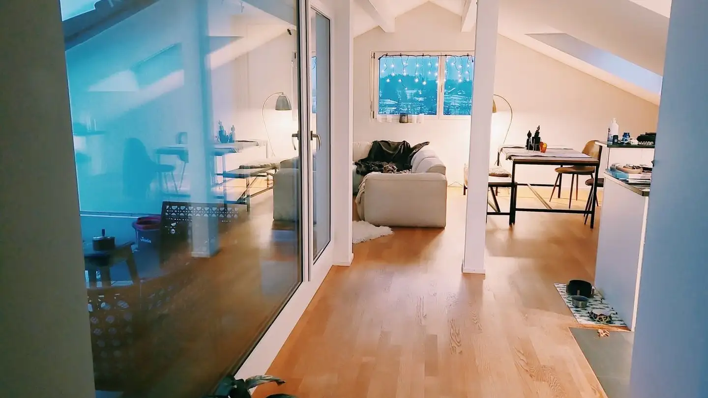 Penthouse for rent - Alte Hedingerstrasse 33, 8910 Affoltern am Albis - Photo 3