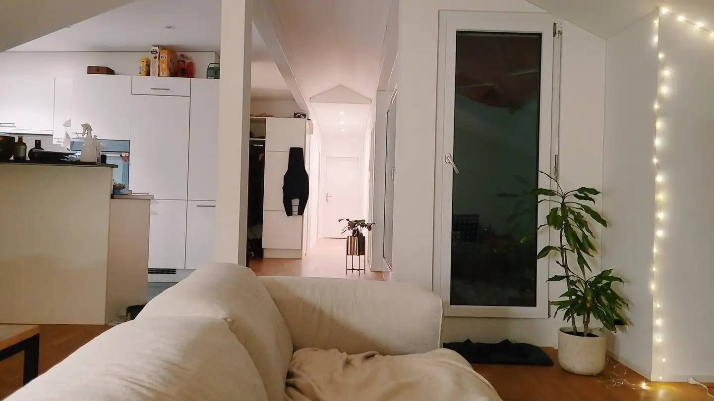 Penthouse for rent - Alte Hedingerstrasse 33, 8910 Affoltern am Albis - Photo 4