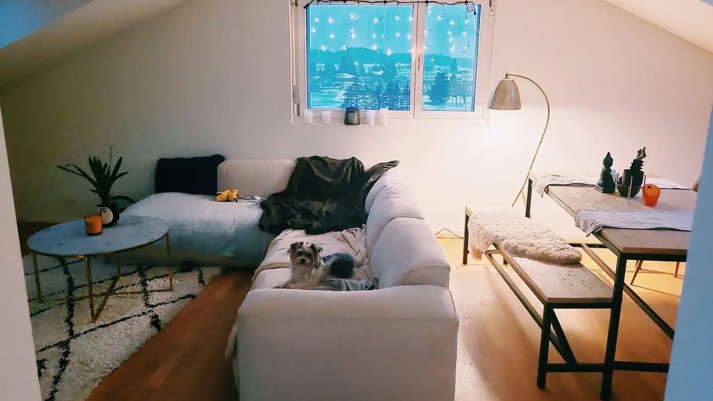 Attico in affitto - Alte Hedingerstrasse 33, 8910 Affoltern am Albis