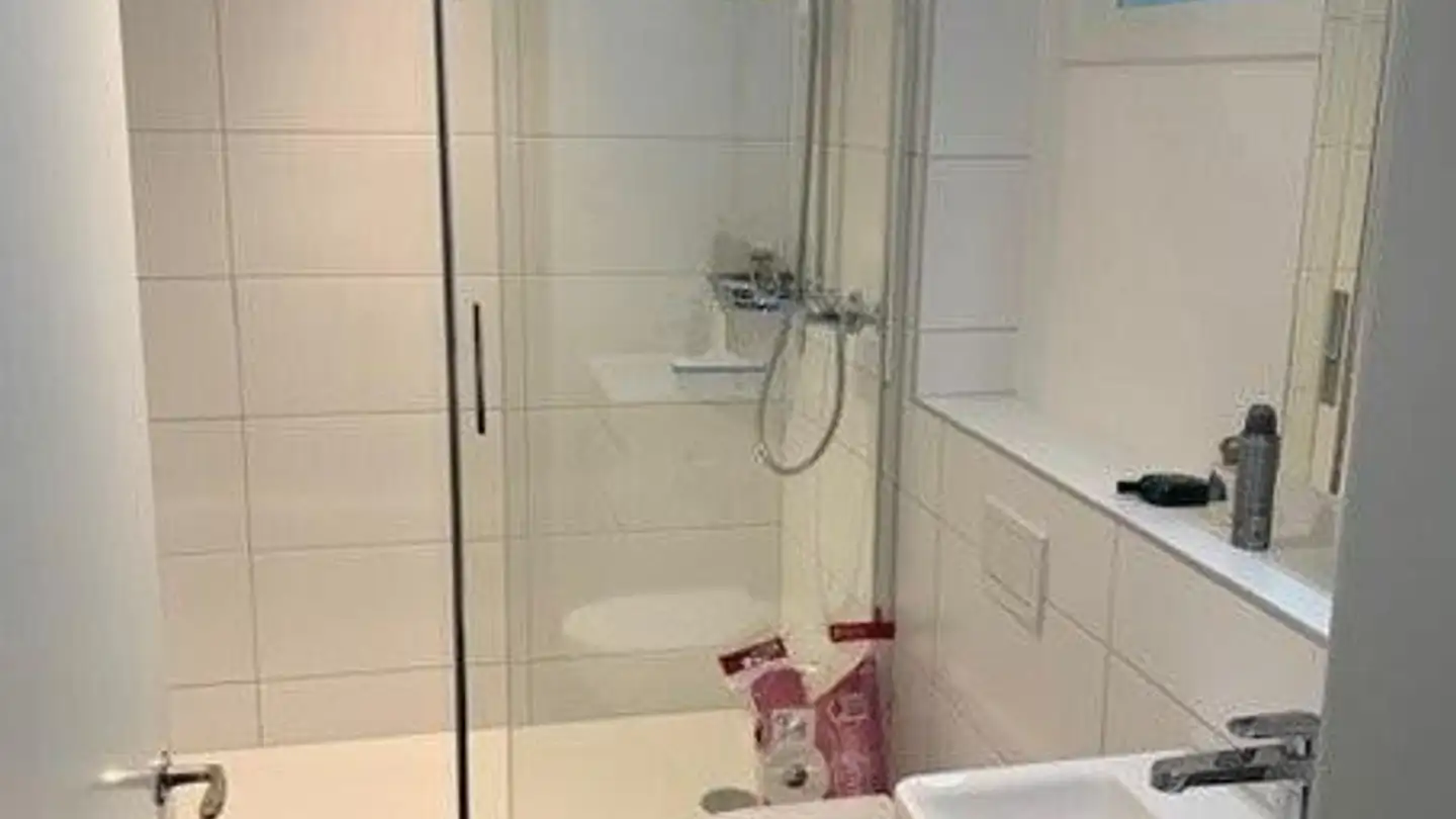 Apartment for rent - Peter Rot-Strasse 117, 4058 Basel - Photo 3