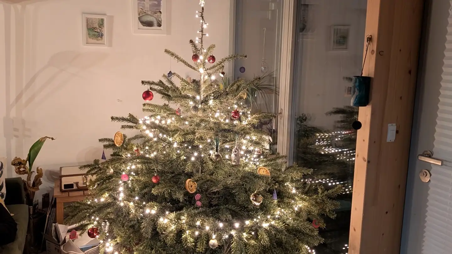 Stanza singola in affitto - Bergstrasse 81c, 8810 Horgen - Foto 3