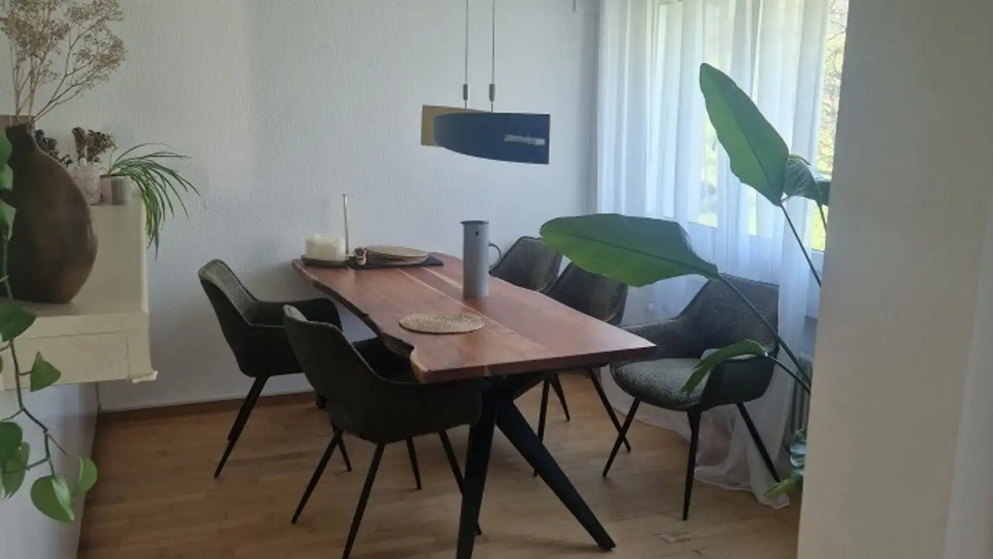 Single room for rent - 8055 Zürich - Photo 3