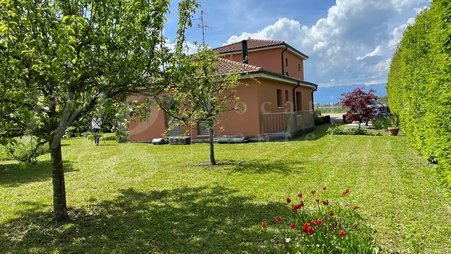 Casa singola in affitto - 1252 Meinier - Foto 3