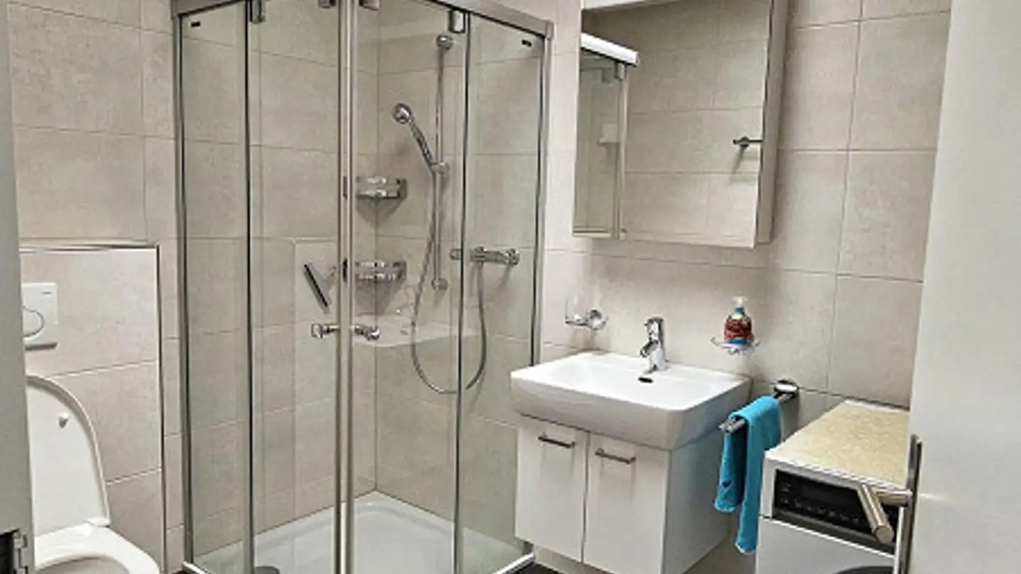 Attique à louer - Salamanderweg 3, 7320 Sargans - Photo 4