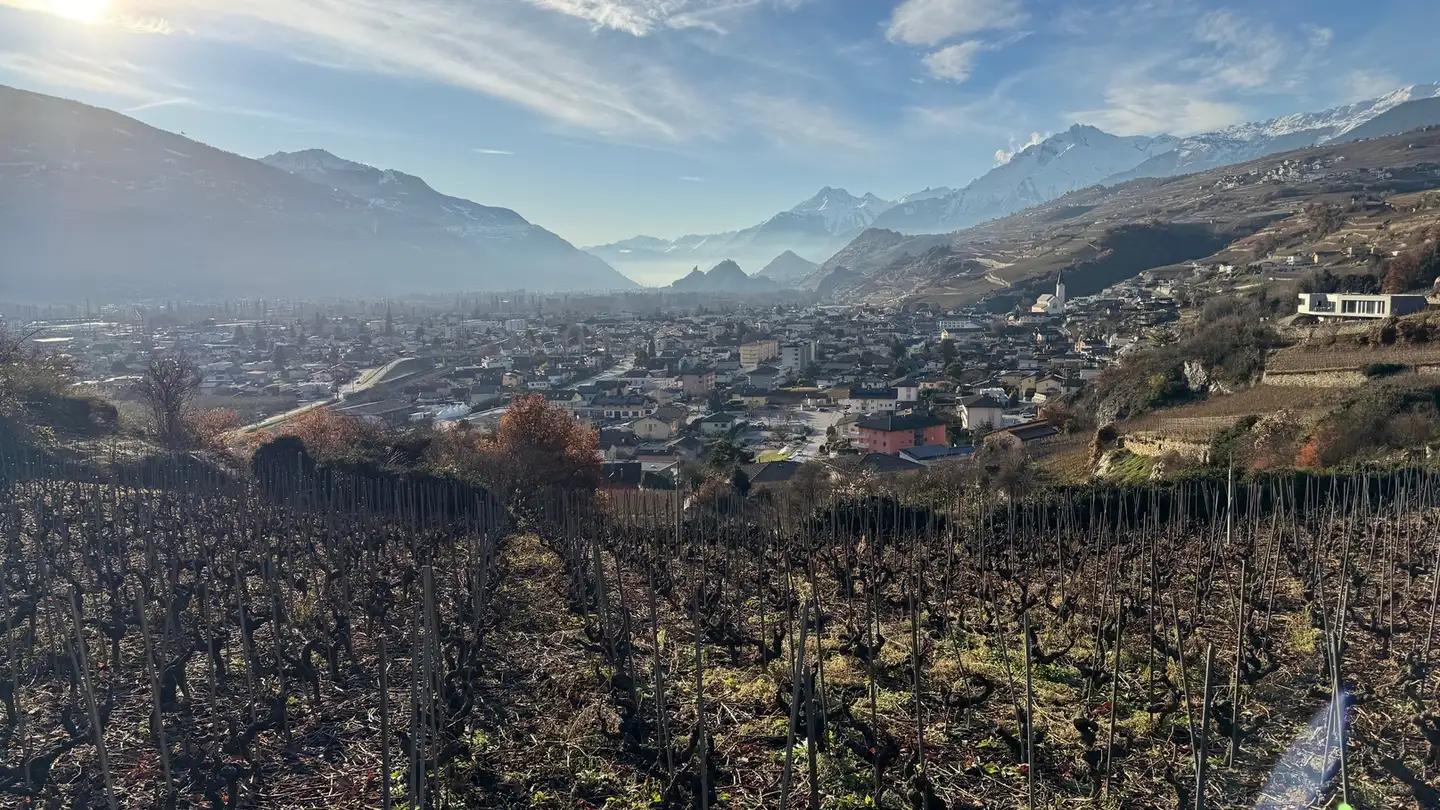 Terrain constructible à vendre - 1958 St-Léonard - Photo 2
