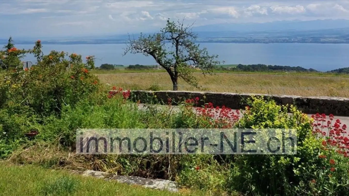 Single house for sale - 1428 Mutrux