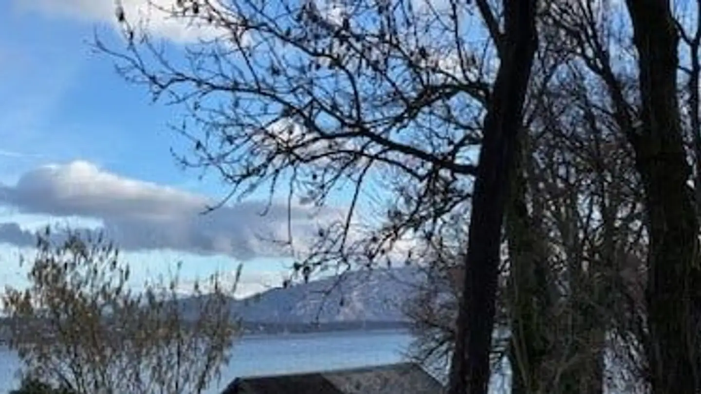 Single house for rent - Route De Lausanne, 1292 Chambésy - Photo 2