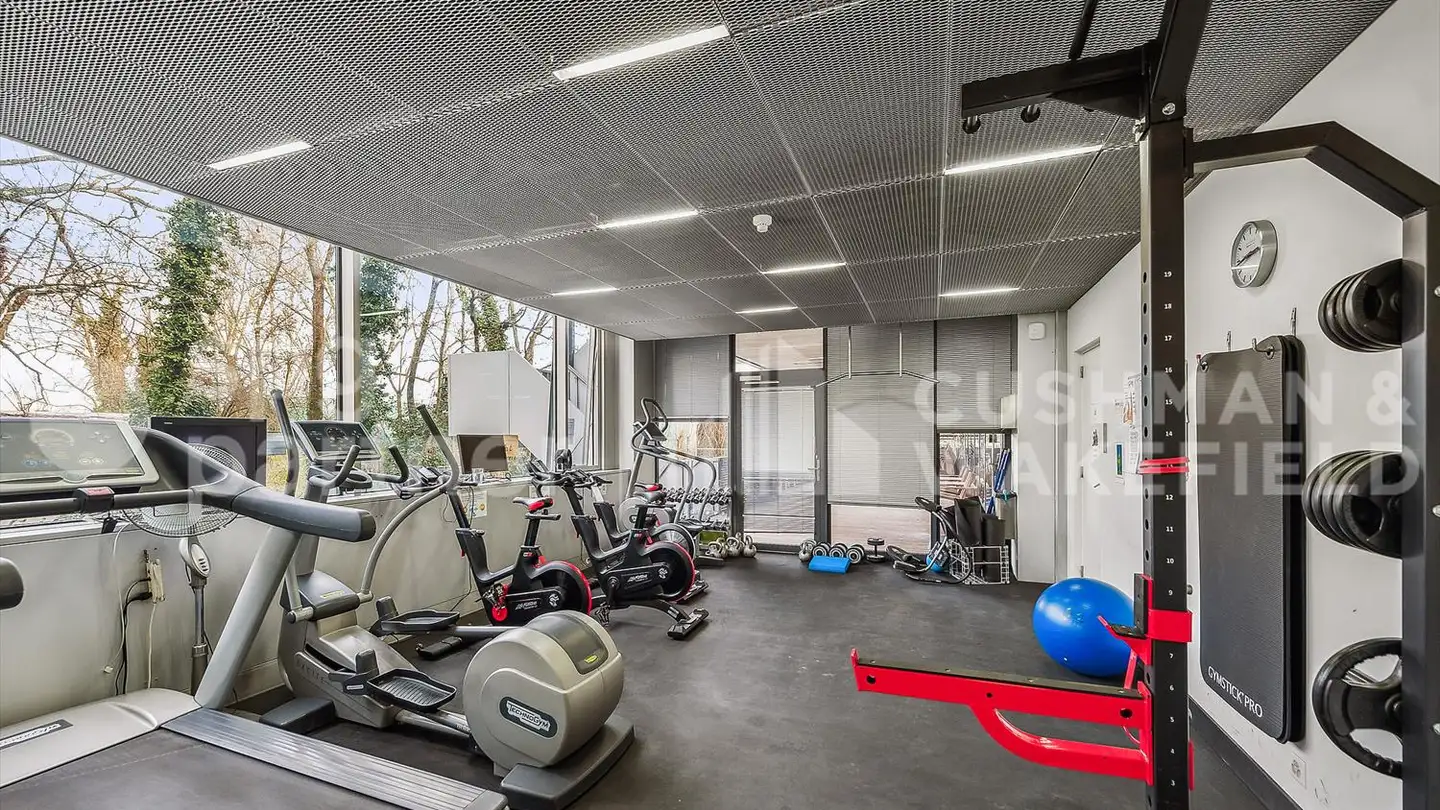 Spazio ufficio in affitto - Chemin De La Pallanterie 5, 1222 Vésenaz - Foto 2