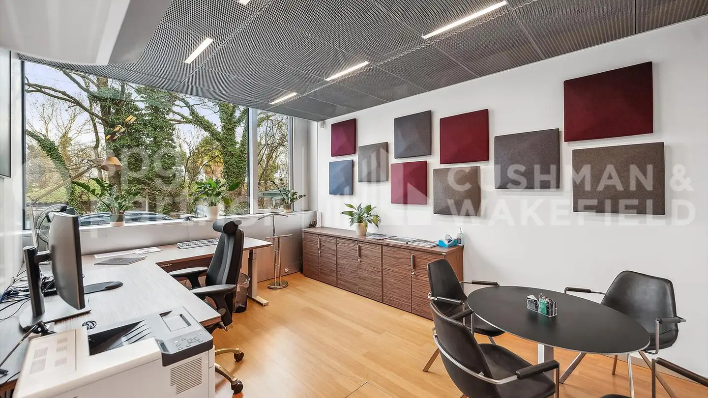 Spazio ufficio in affitto - Chemin De La Pallanterie 5, 1222 Vésenaz - Foto 4