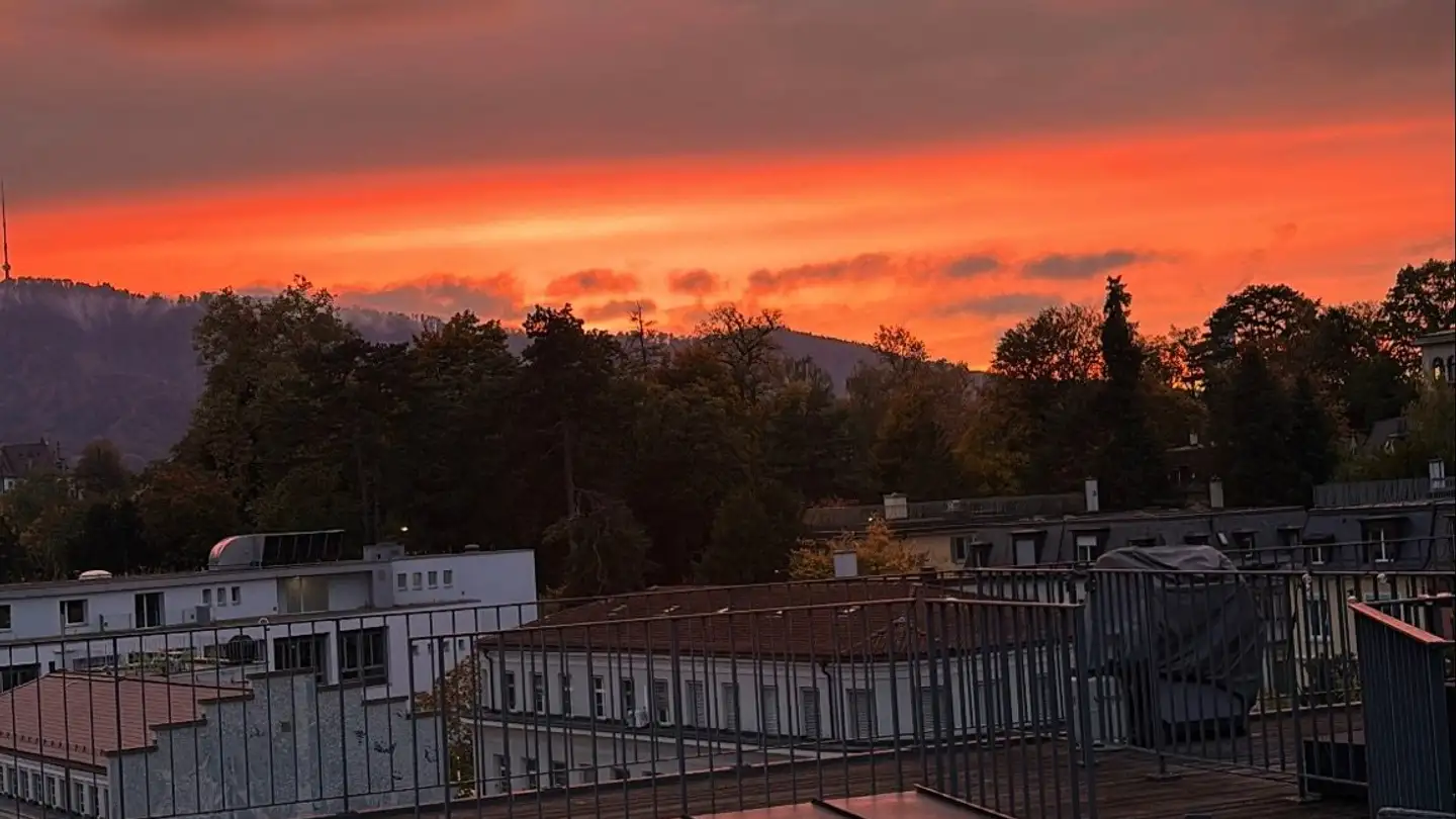 Chambre à louer - Ulmbergstrasse, 8002 Zürich - Photo 4