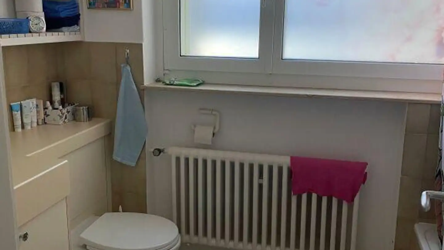 Appartamento in affitto - Rebhangstrasse 2, 8200 Schaffhausen - Foto 3