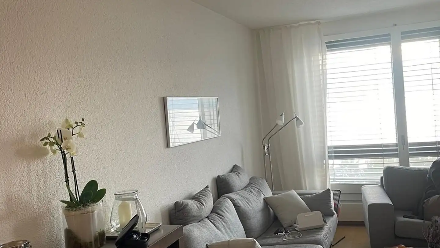 Appartamento in affitto - 8704 Herrliberg