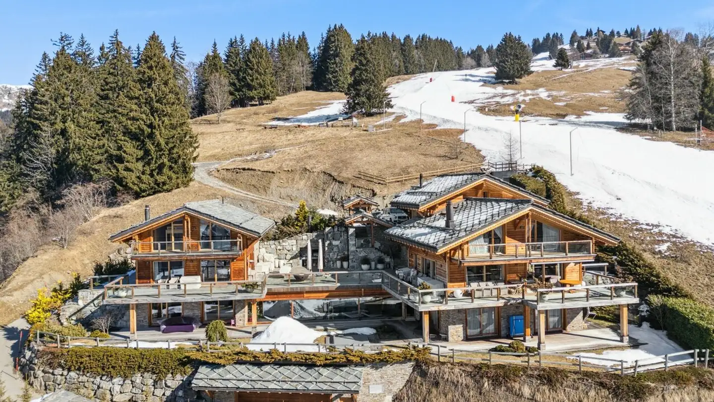 Chalet for sale - 1882 Gryon - Photo 2