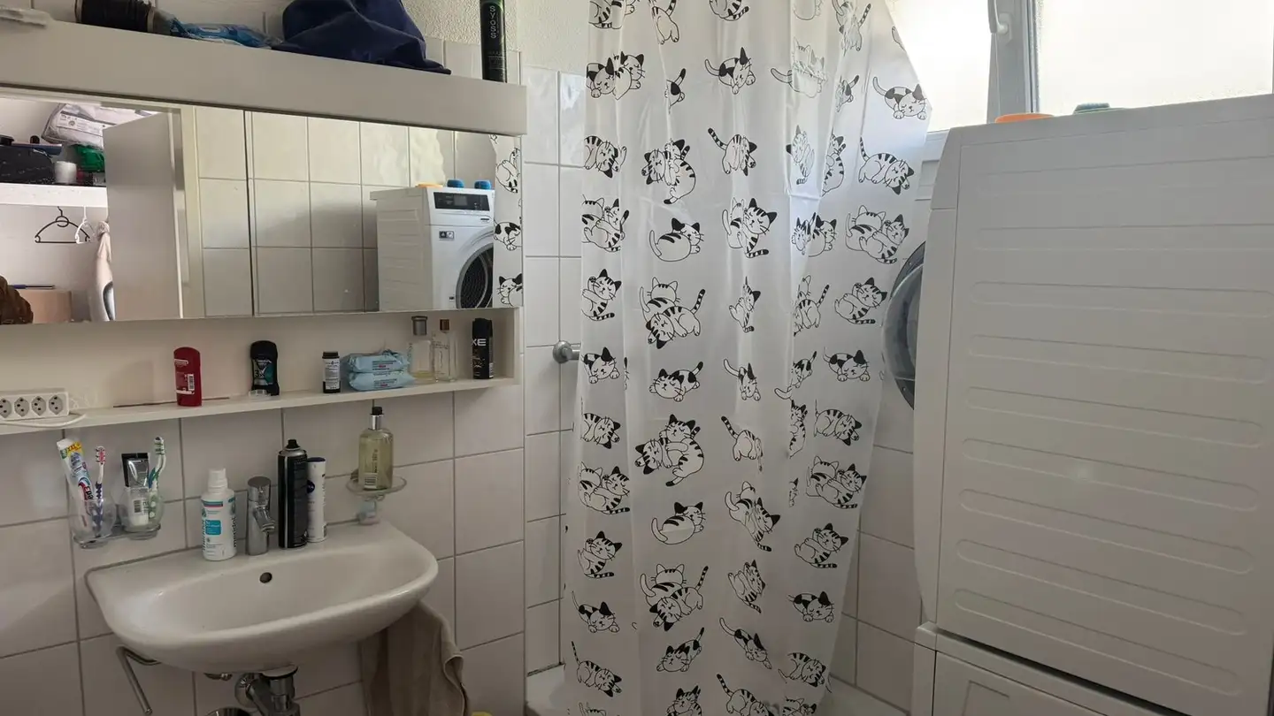 Appartamento in affitto - Wässerwiesenstrasse 67r, 8408 Winterthur - Foto 4