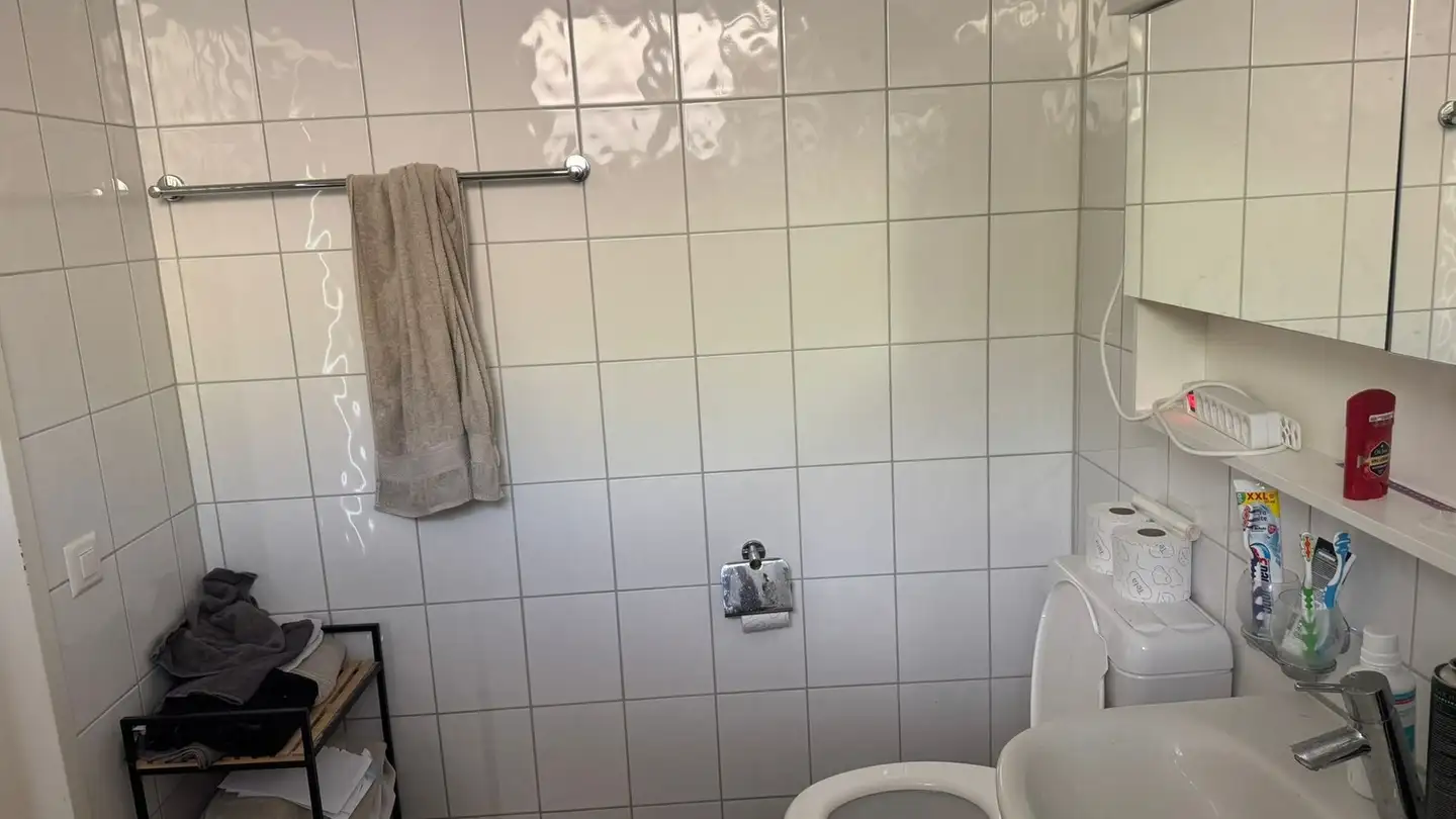 Appartamento in affitto - Wässerwiesenstrasse 67r, 8408 Winterthur - Foto 2