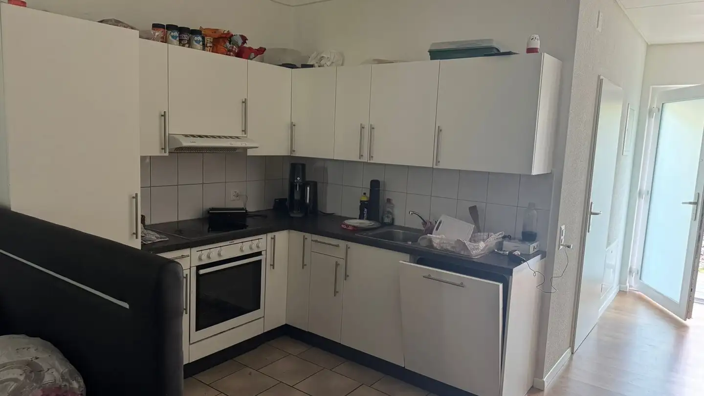 Appartamento in affitto - Wässerwiesenstrasse 67r, 8408 Winterthur - Foto 3