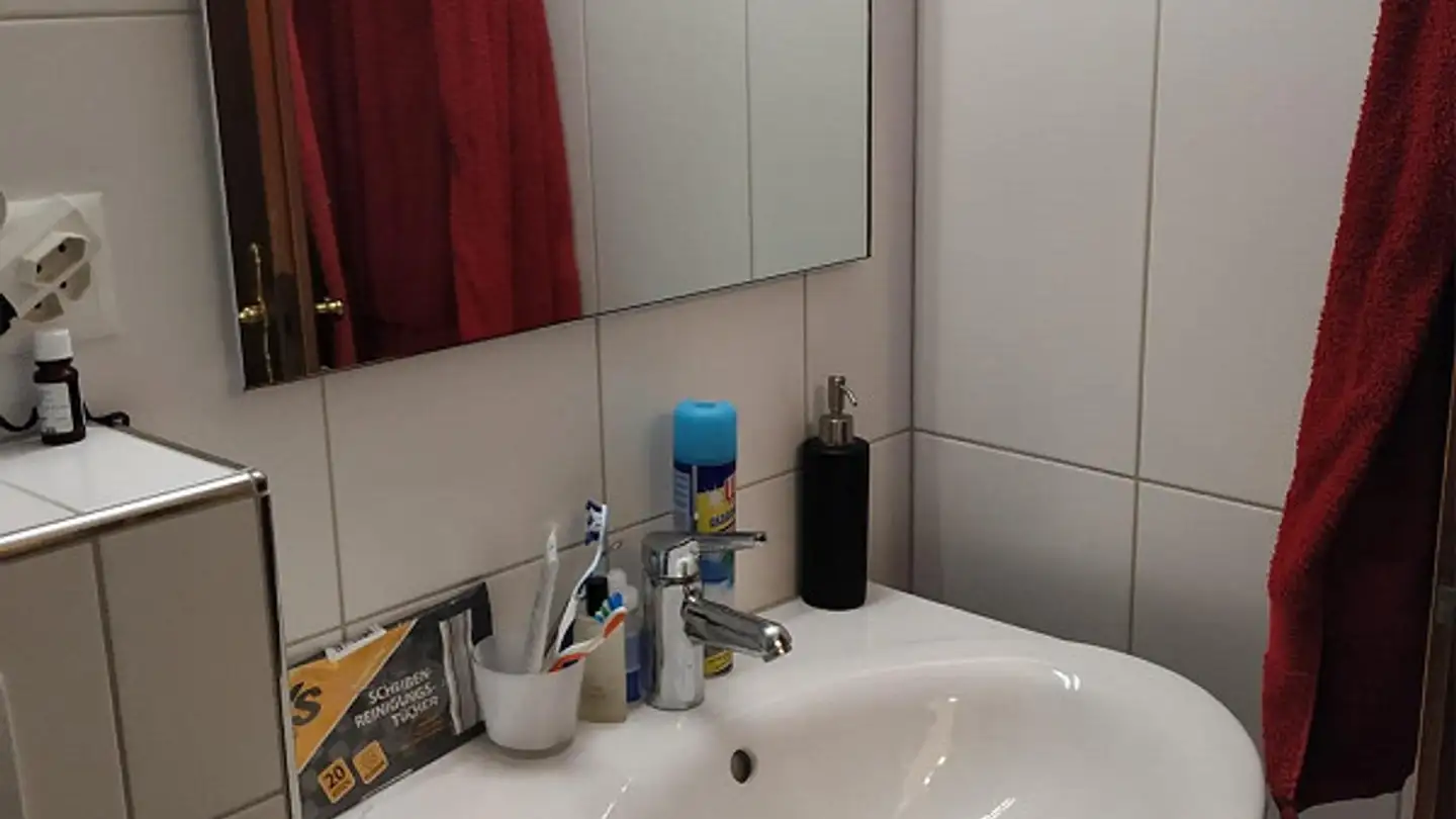 Chambre à louer - Deuberrainweg 5, 8807 Freienbach - Photo 2