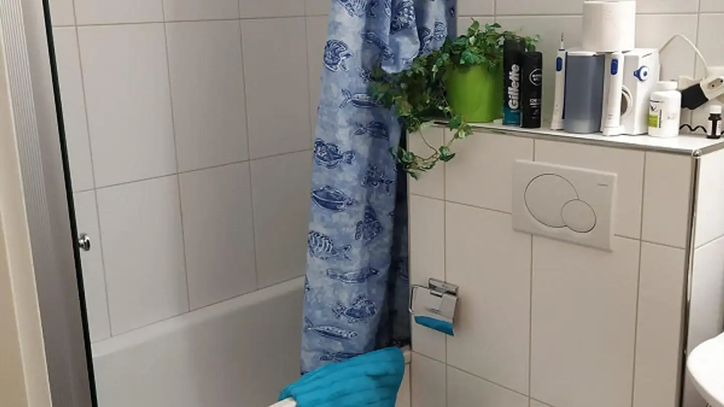 Chambre à louer - Deuberrainweg 5, 8807 Freienbach - Photo 3