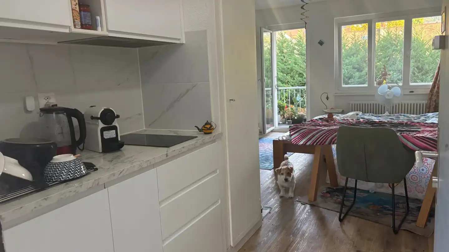 Appartement à louer - Grand-Rue 32, 1180 Rolle - Photo 3