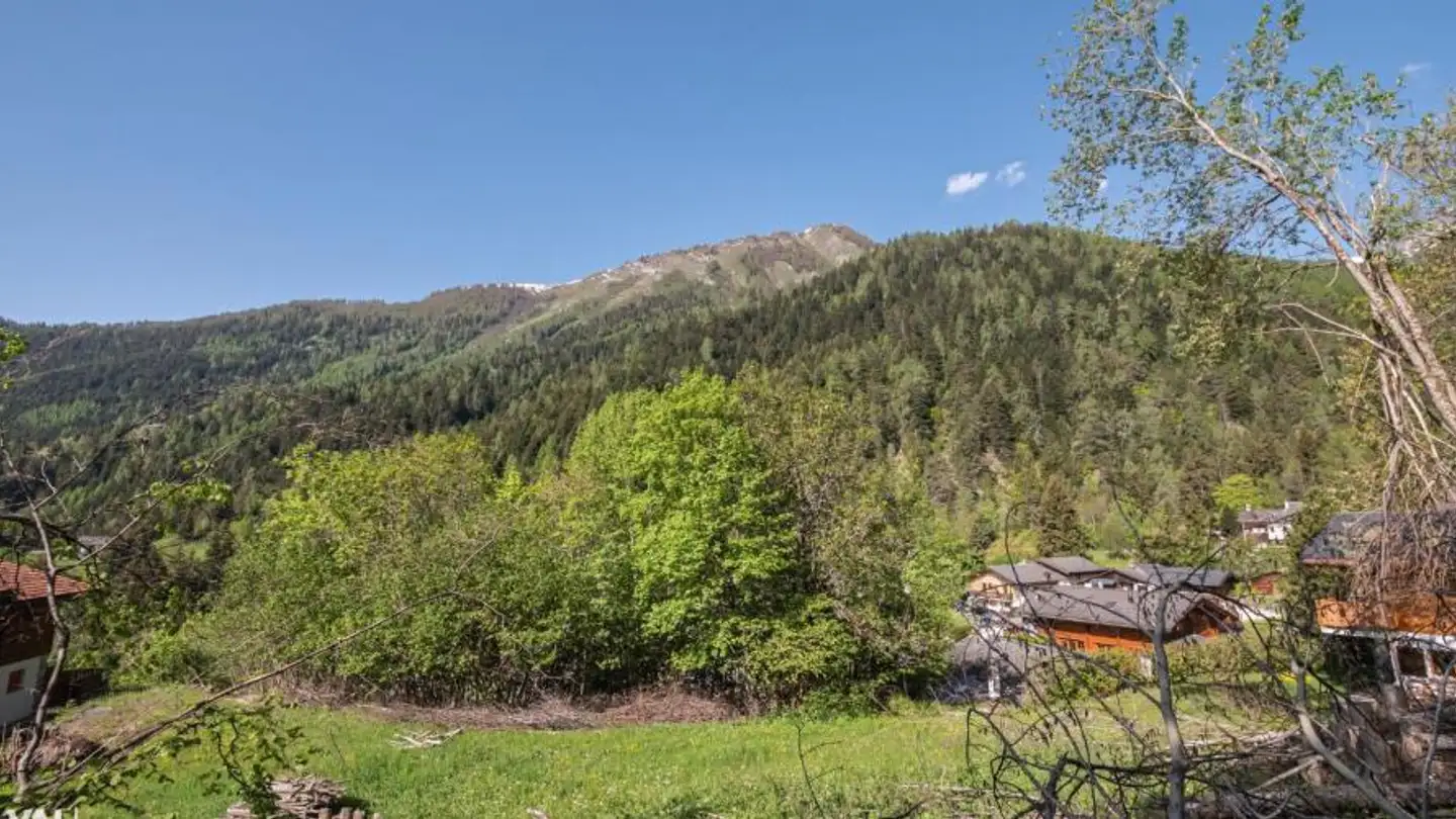 Terrain constructible à vendre - Chemin Du Bisse, 1911 Ovronnaz - Photo 2