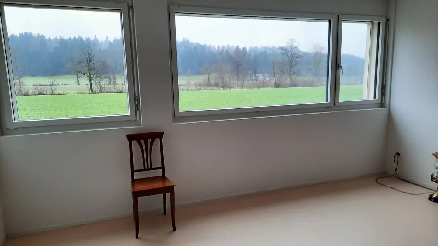 Commerciale in affitto - Hellbühlerstrasse 38, 6017 Ruswil - Foto 2