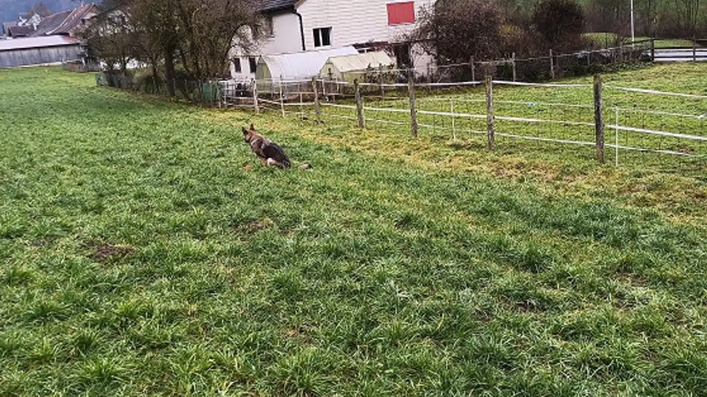 Casa singola in vendita - Unterrindal 71, 9604 Unterrindal