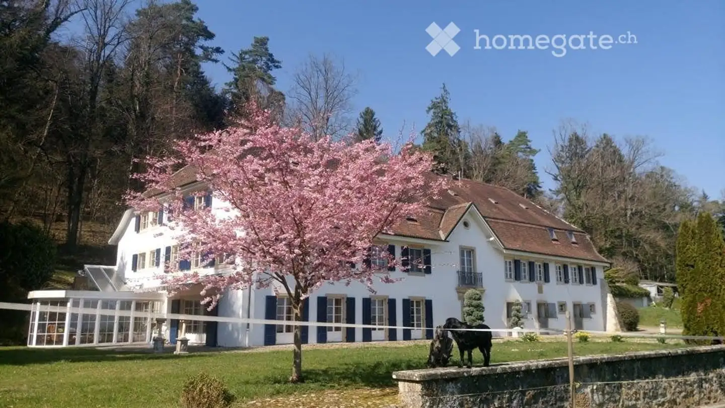 Apartment for rent - Le Rugenet, 2022 Bevaix