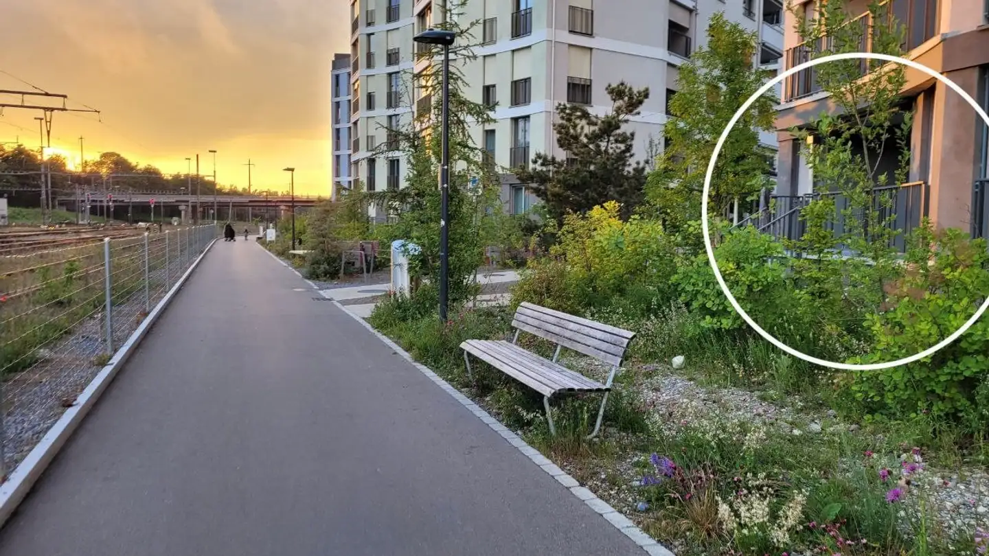 Appartement à louer - Sandstrasse 1, 8180 Bülach - Photo 2