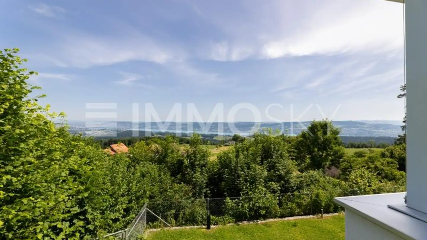 Duplex for sale - 8135 Langnau am Albis