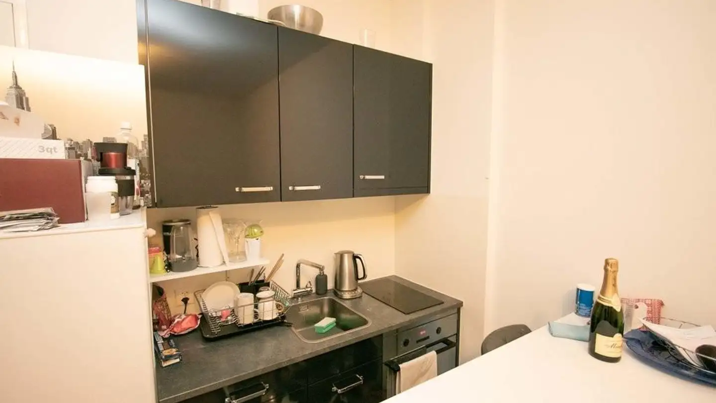 Appartamento in affitto - Müller-Friedberg-Strasse 14, 9000 St. Gallen - Foto 4