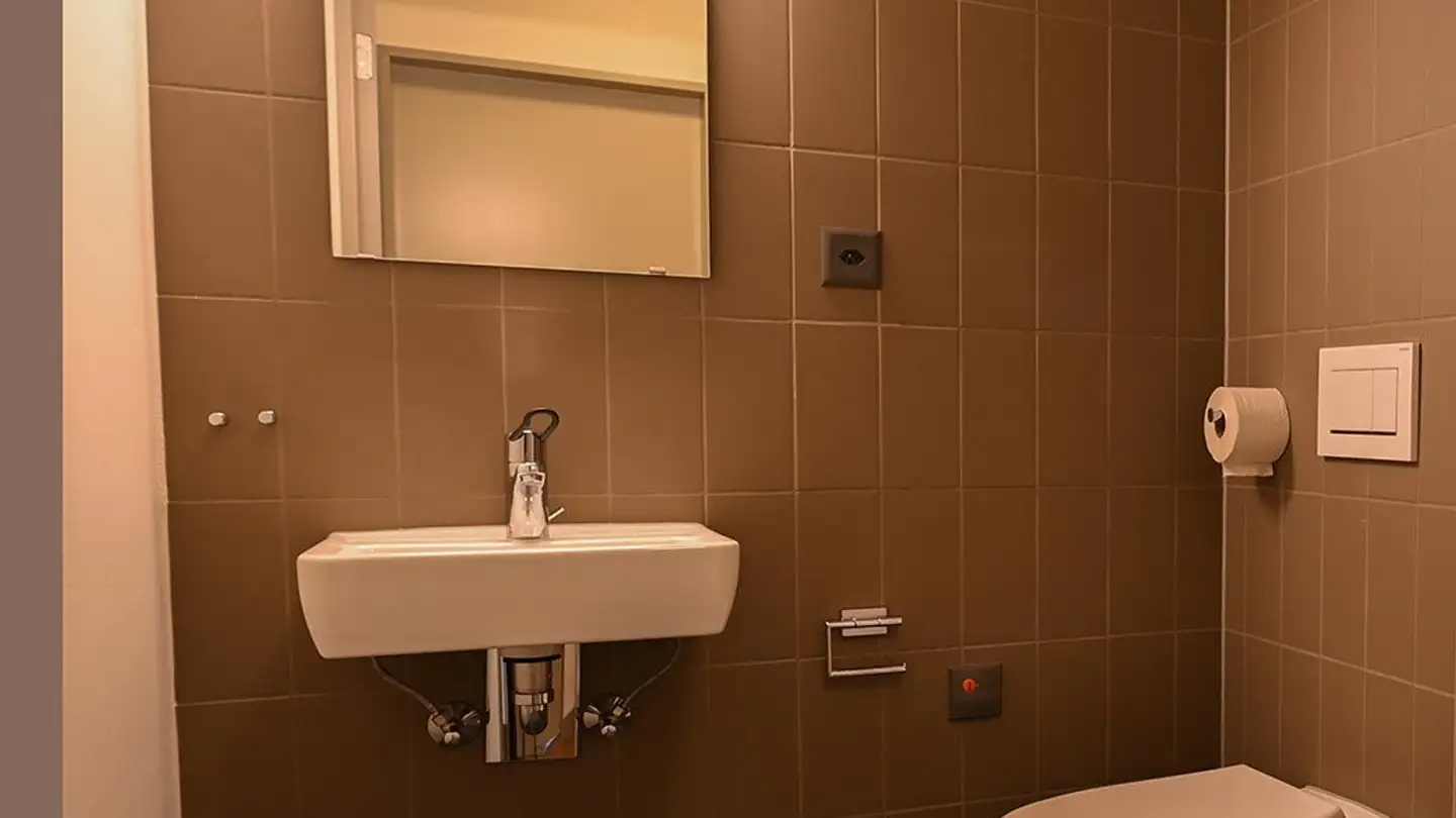 Apartment for rent - Brandstrasse 3, 8952 Schlieren - Photo 4