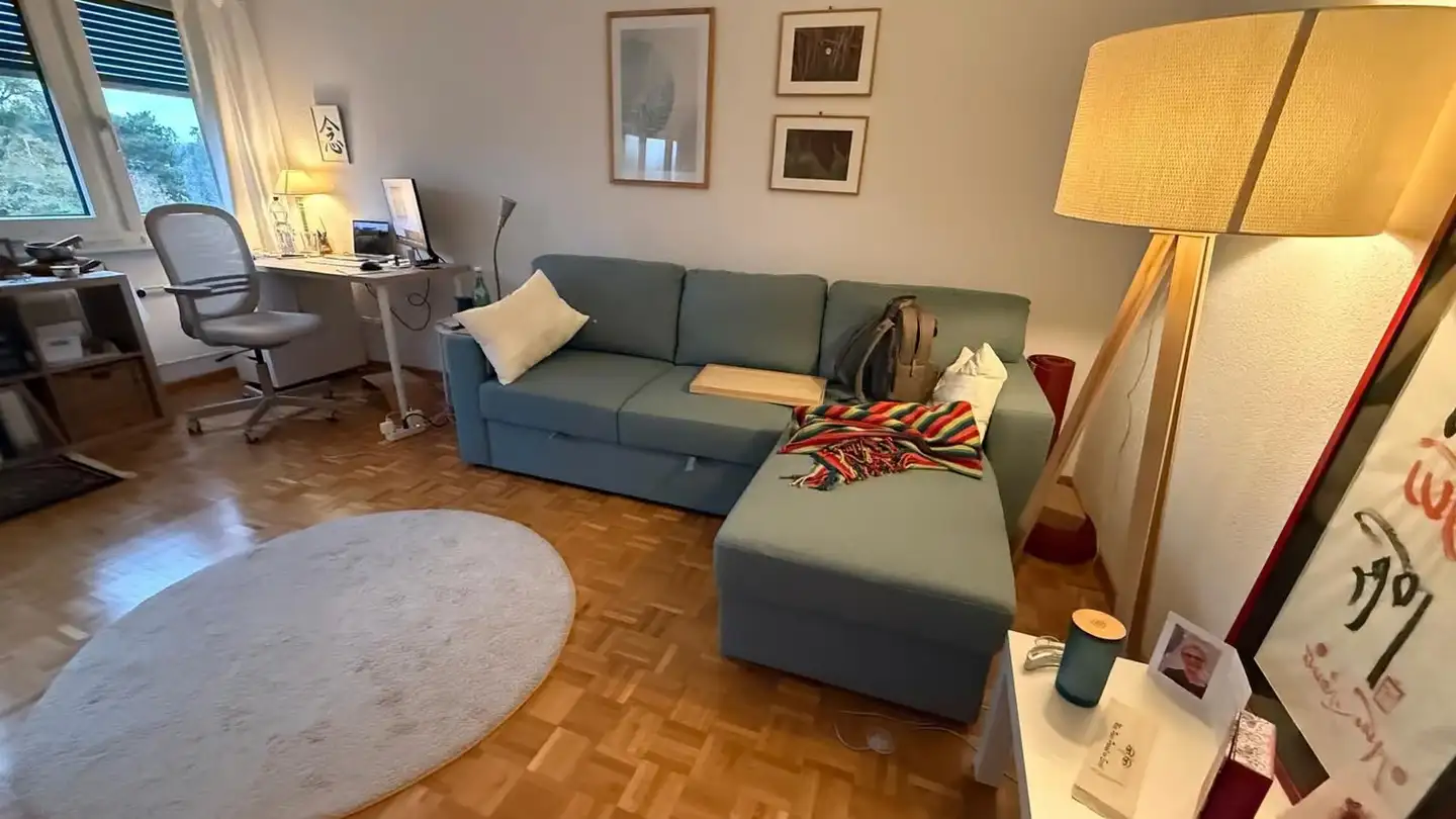 Appartement à louer - Route Du Grand-Torry, 1700 Fribourg - Photo 2