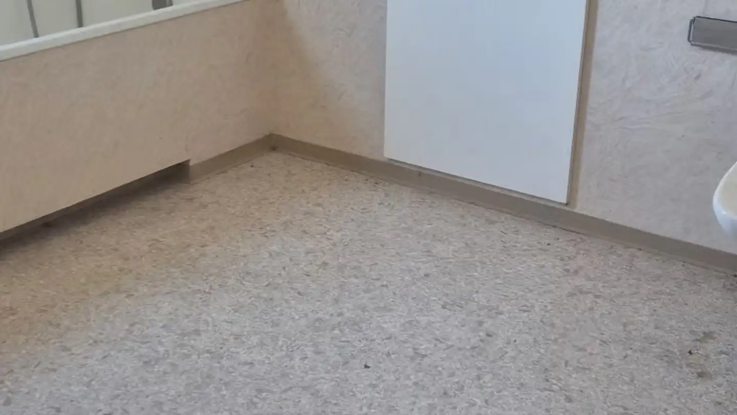 Appartamento in affitto - Bachtobelstrasse 4, 8570 Weinfelden - Foto 2