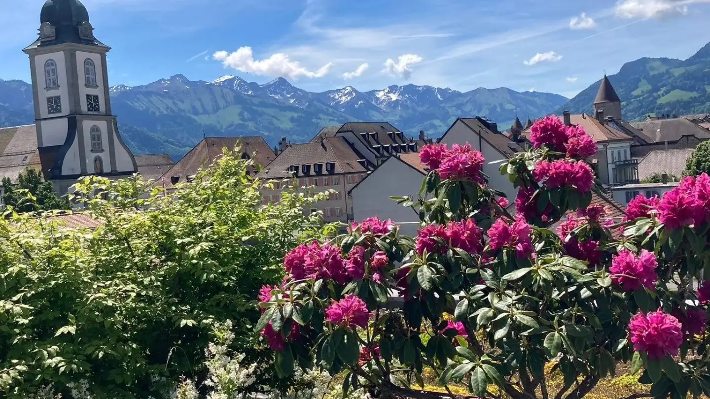 Appartamento in affitto - Rue De La Sionge, 1630 Bulle - Photo 2