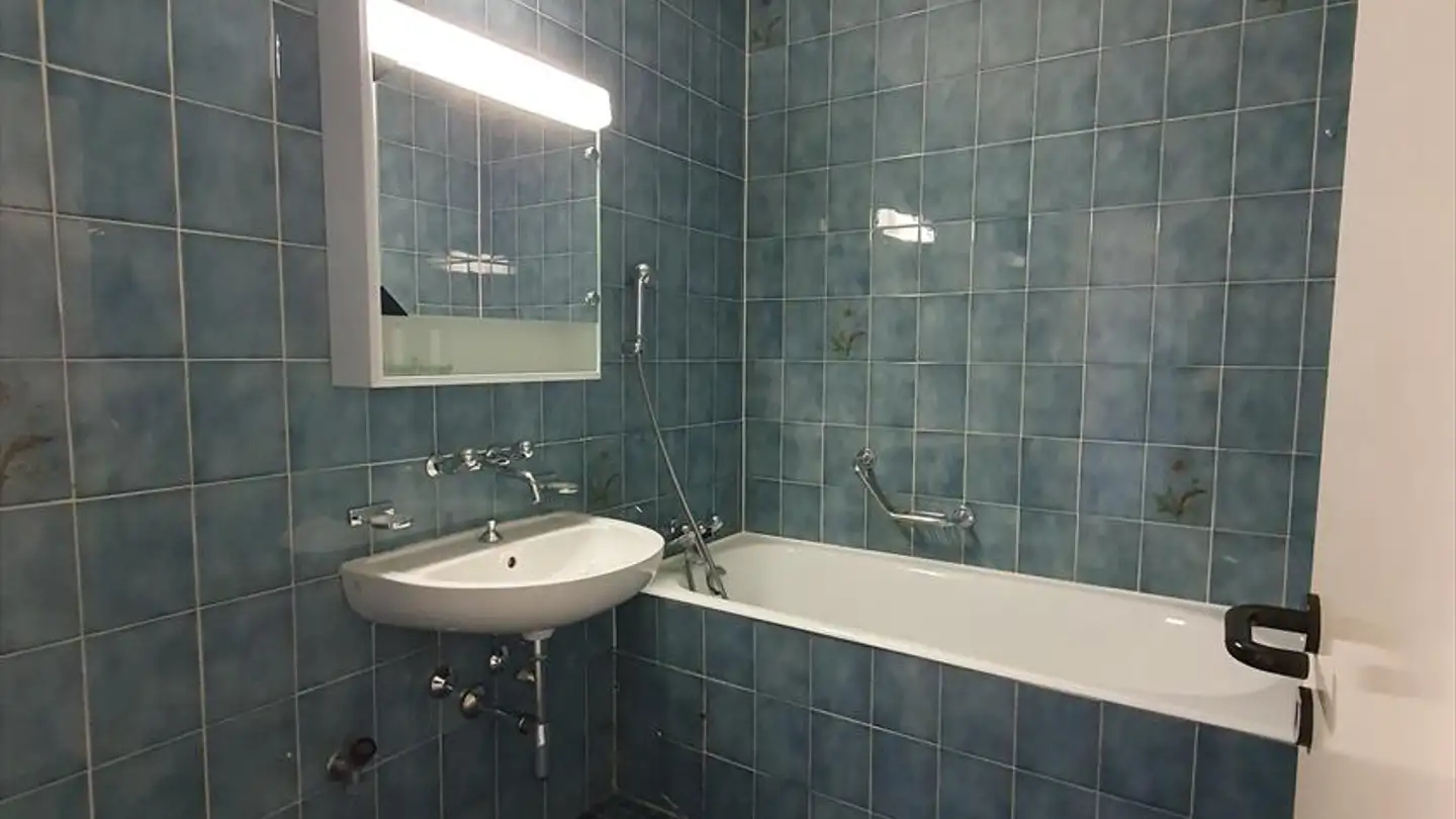 Appartamento in affitto - Quai Du Cheval-Blanc 19, 1227 Les Acacias - Foto 3