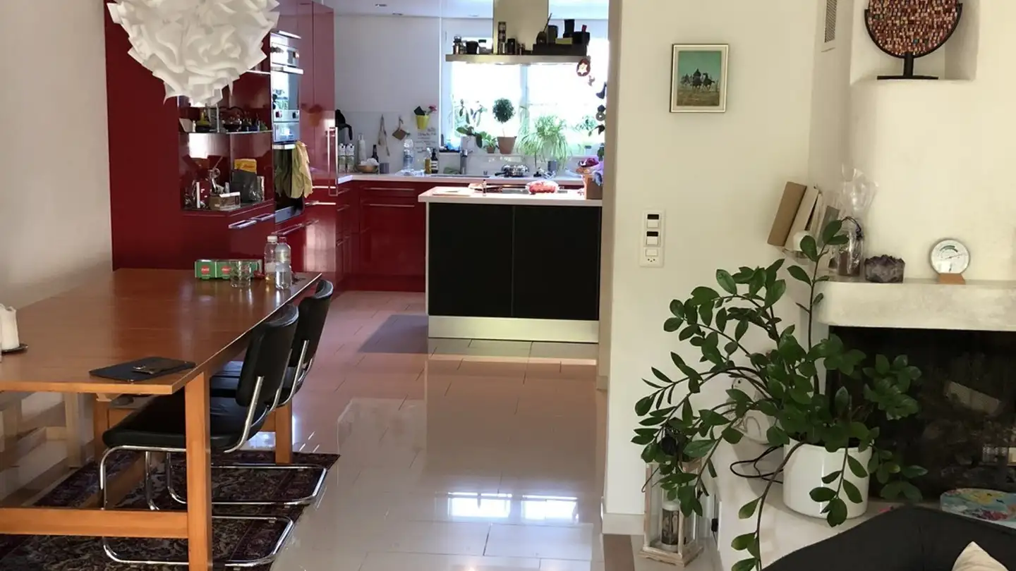 Single house for rent - 8953 Dietikon