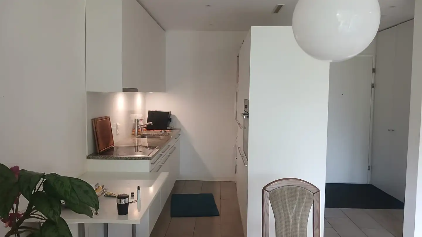 Wohnung mieten - Schachenstrasse 18, 6030 Ebikon