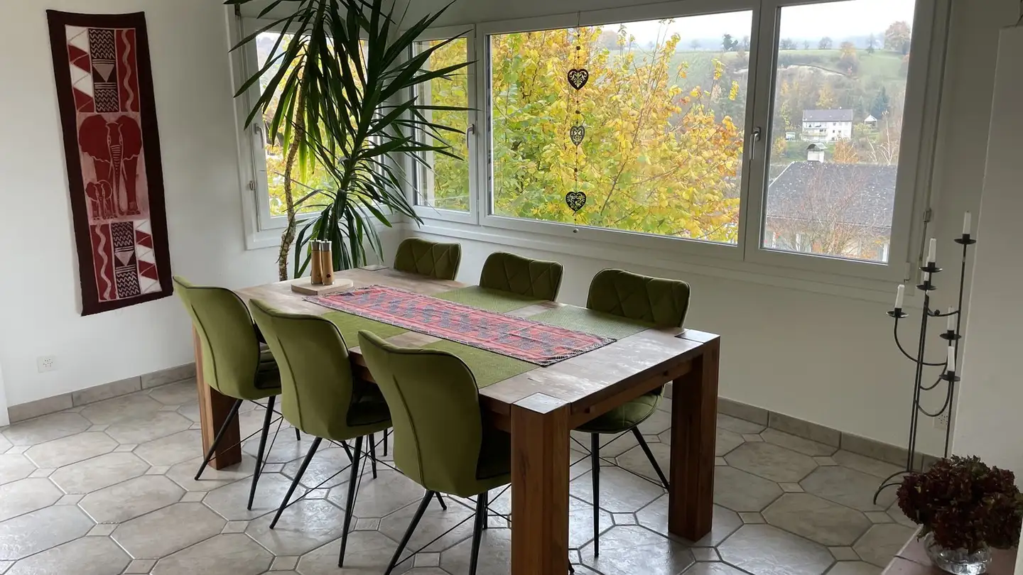 Single house for rent - 8253 Diessenhofen