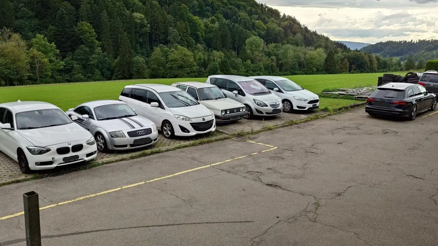 Workshop for rent - 8143 Stallikon - Photo 3