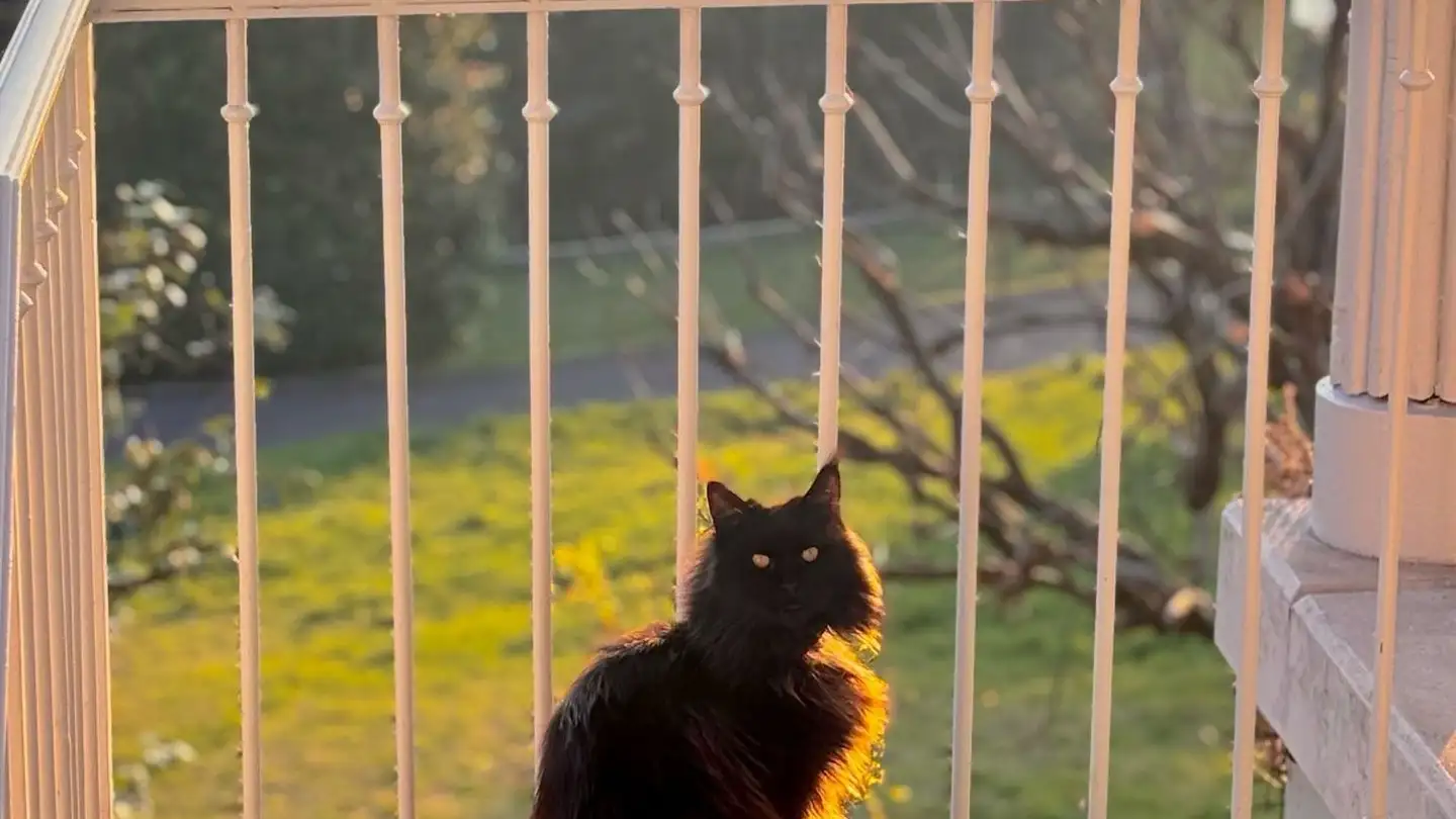 Single house for rent - Ruelle Du Petit-Veytaux, 1820 Veytaux - Photo 2