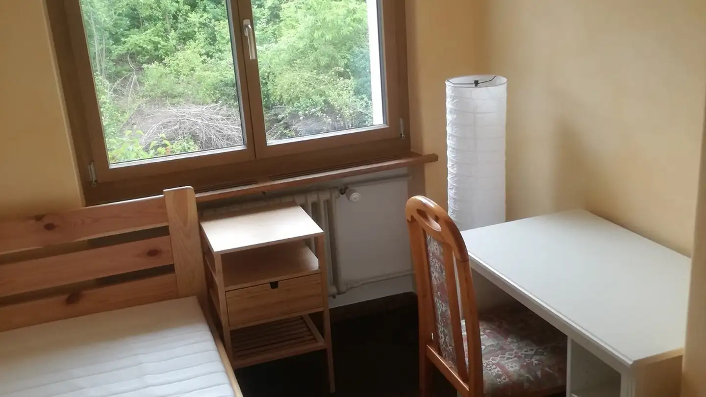 Chambre à louer - 8052 Zürich