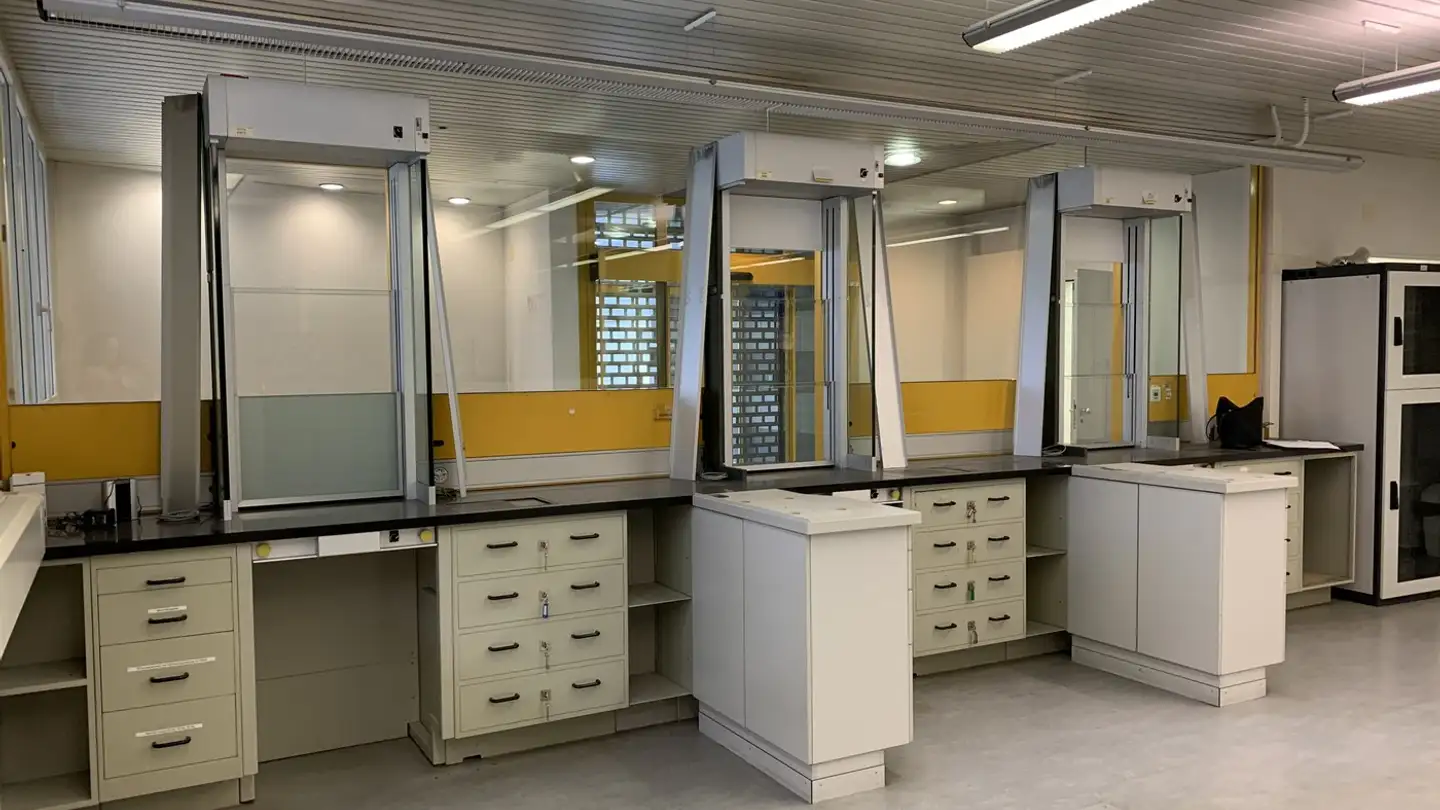 Commercial à louer - Hauptstrasse 50, 6436 Muotathal - Photo 2