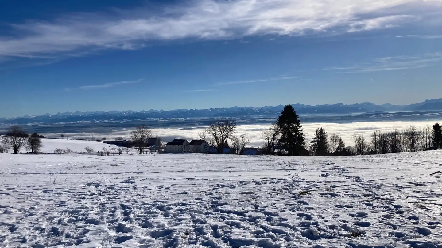 Appartement à vendre - Route Des Alpes 25, 1452 Les Rasses