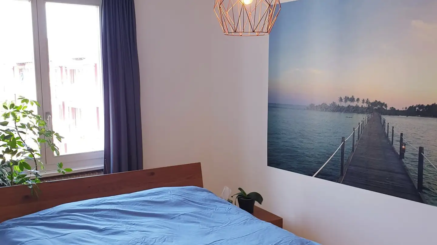 Appartamento in affitto - 8953 Dietikon