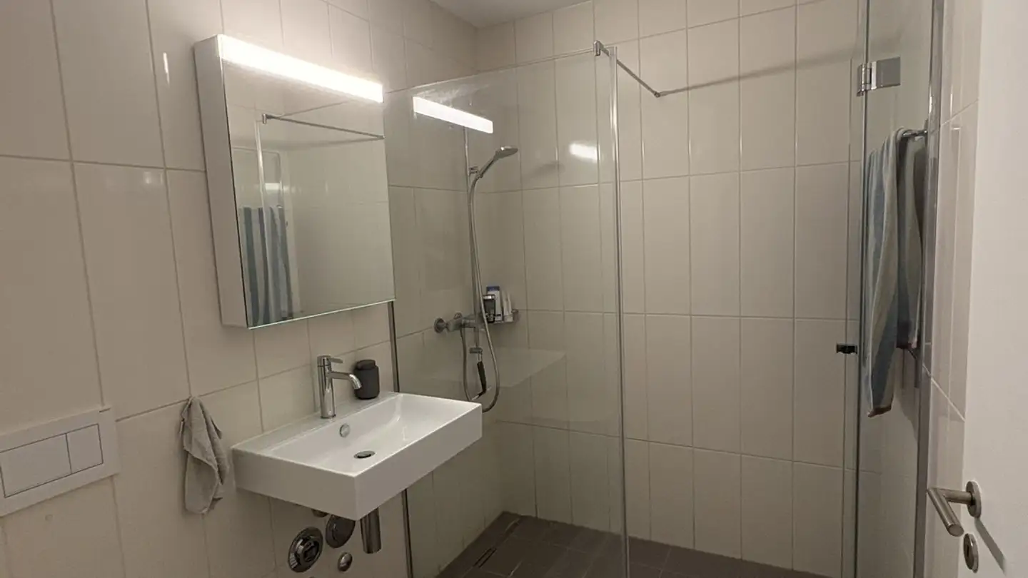 Appartamento in affitto - Austrasse 56, 8045 Zürich - Foto 3