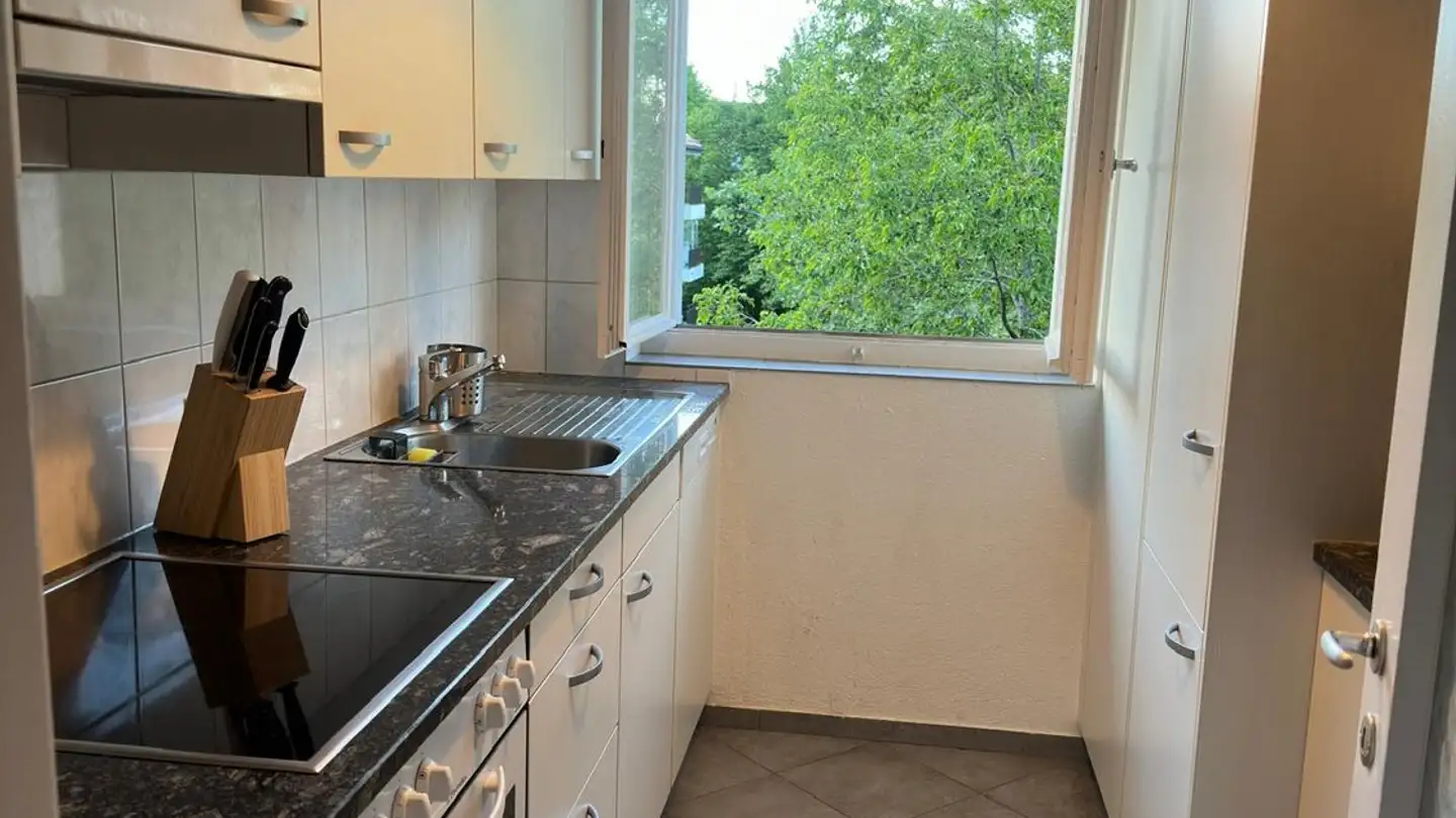 Chambre à louer - Martinsbruggstrasse, 9016 St. Gallen - Photo 4