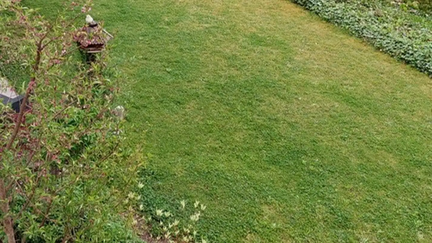 Appartement à louer - Unterer Aareggweg 7, 3004 Bern - Photo 4