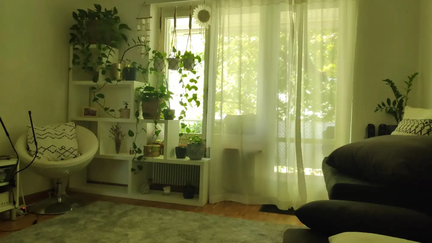 Stanza singola in affitto - 8048 Zürich