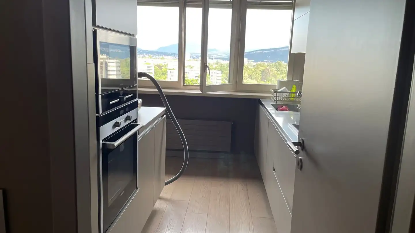 Attico in affitto - Plateau de Frontenex, 1223 Cologny - Foto 3