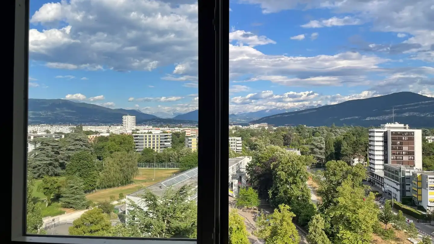 Attico in affitto - Plateau de Frontenex, 1223 Cologny - Foto 4